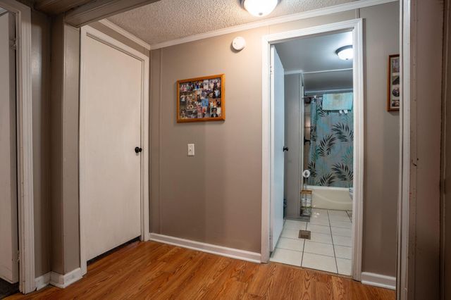 127 County Road 309, Bryant, AL 35958