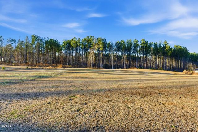 60 Robertson Stable Lane, Zebulon, NC 27597