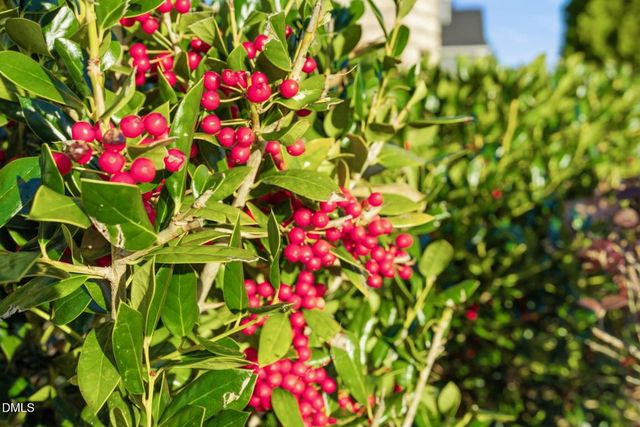 60 Robertson Stable Lane, Zebulon, NC 27597