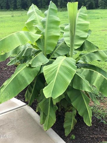 60 Robertson Stable Lane, Zebulon, NC 27597