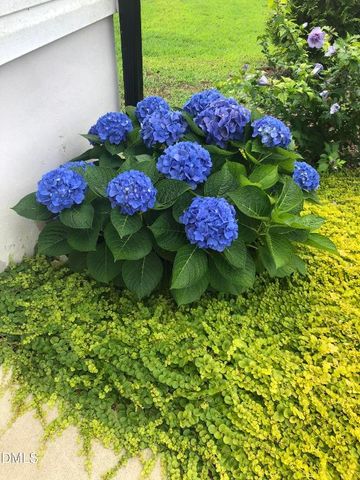 60 Robertson Stable Lane, Zebulon, NC 27597