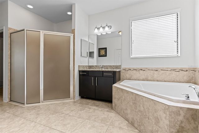 19433 WHISPERING BROOK DRIVE, Tampa, FL 33647