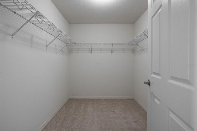 19433 WHISPERING BROOK DRIVE, Tampa, FL 33647