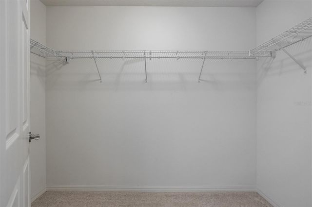 19433 WHISPERING BROOK DRIVE, Tampa, FL 33647