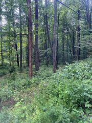 Gordon Road, Carmel, NY 10512