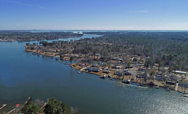 1446 Litzler Drive, Manning, SC 29102