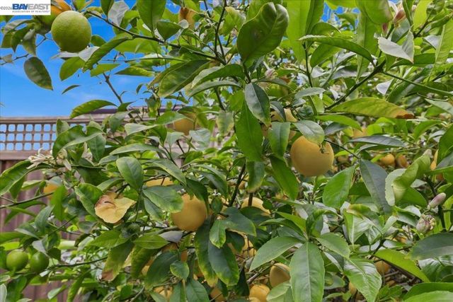 4374 Eggers Dr, Fremont, CA 94536