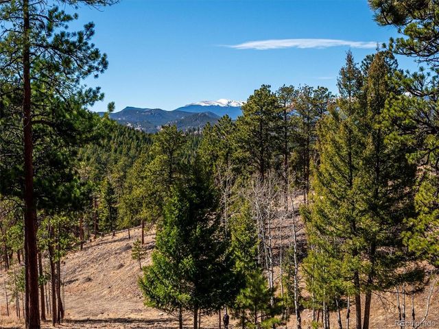13623 S Wamblee Valley Rd, Conifer, CO 80433