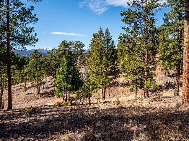 13623 S Wamblee Valley Rd, Conifer, CO 80433