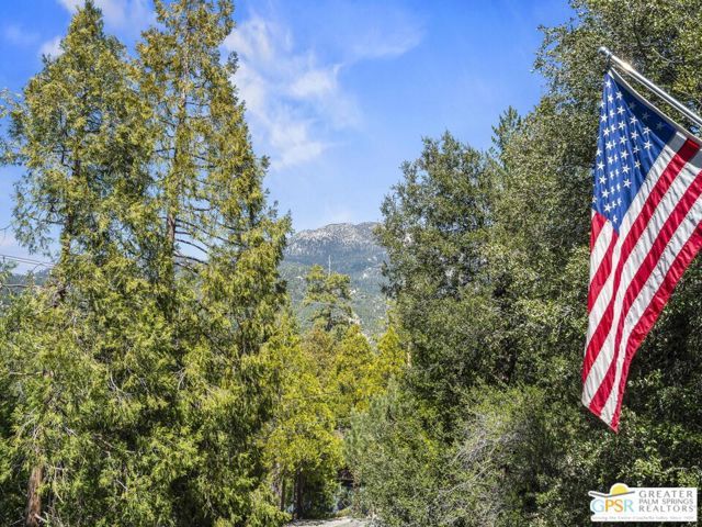 53825 Marian View Drive, Idyllwild, CA 92549