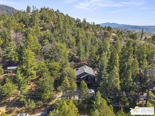 53825 Marian View Drive, Idyllwild, CA 92549