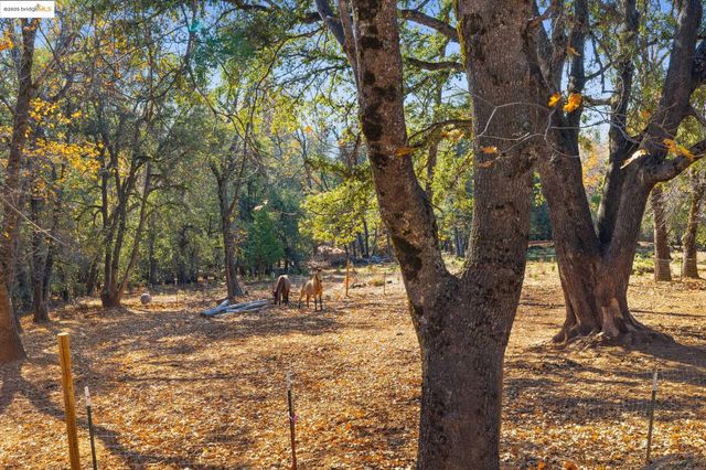 16144 Big Hill Road, Sonora, CA 95370