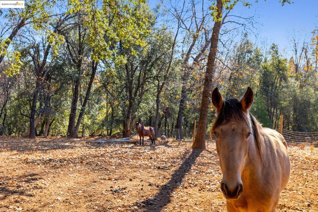 16144 Big Hill Road, Sonora, CA 95370