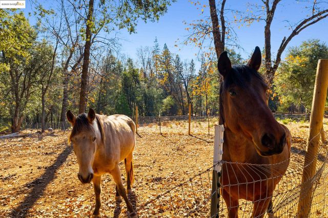 16144 Big Hill Road, Sonora, CA 95370