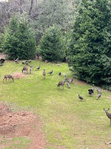 16144 Big Hill Road, Sonora, CA 95370