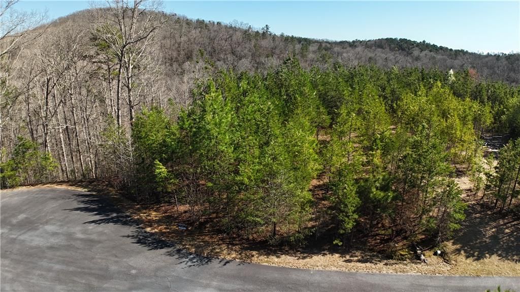 0 Olde Rockhouse Lane, Demorest, GA 30535