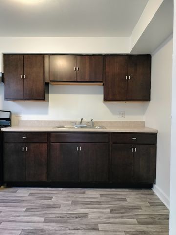 7910 S Muskegon Avenue 3, Chicago, IL 60617