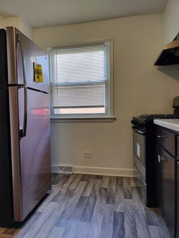 7910 S Muskegon Avenue 3, Chicago, IL 60617