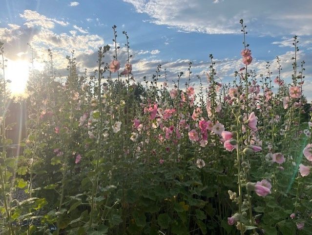 88 Riverway Road, Belgrade, MT 59714