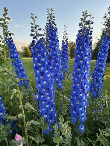 88 Riverway Road, Belgrade, MT 59714