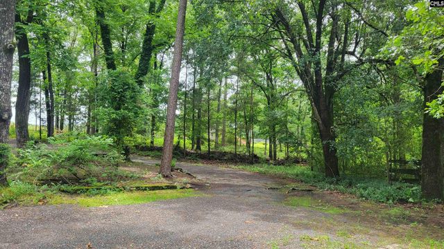 742 Elbert Taylor Road, Gilbert, SC 29054