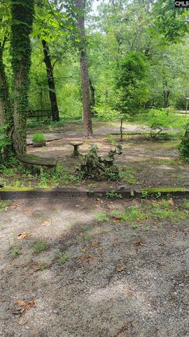 742 Elbert Taylor Road, Gilbert, SC 29054