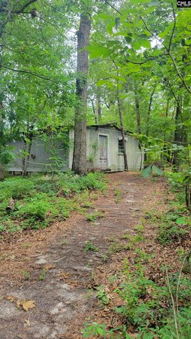 742 Elbert Taylor Road, Gilbert, SC 29054
