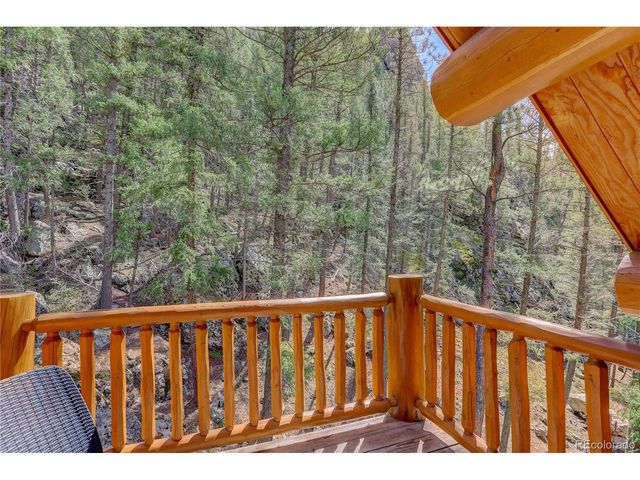 14662 S Elk Creek Rd, Pine, CO 80470