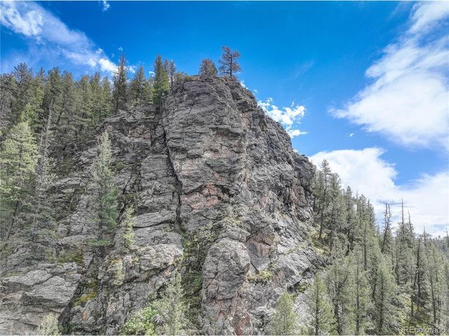 14662 S Elk Creek Rd, Pine, CO 80470
