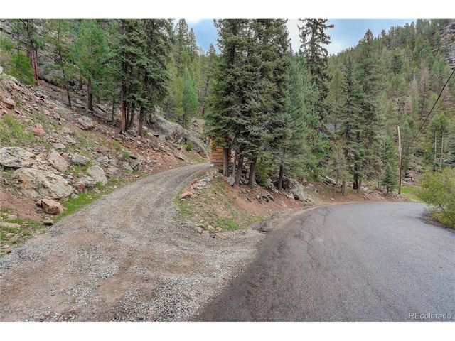14662 S Elk Creek Rd, Pine, CO 80470