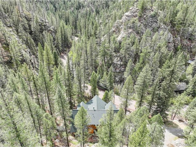 14662 S Elk Creek Rd, Pine, CO 80470