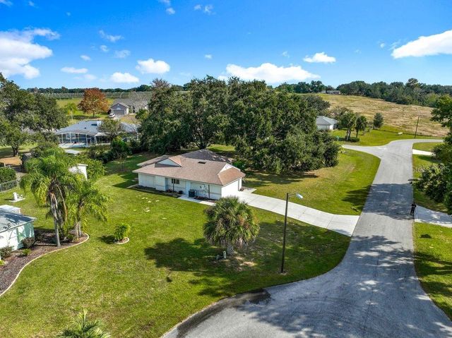 36528 EAGLE DRIVE, Grand Island, FL 32735
