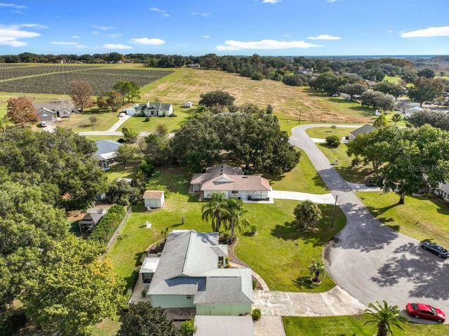 36528 EAGLE DRIVE, Grand Island, FL 32735