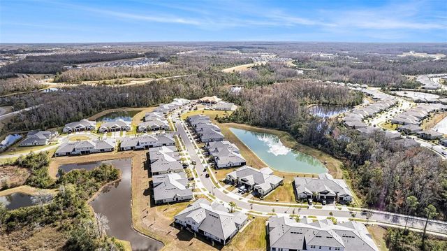 17244 TORTOISE CROWN BOULEVARD, Land O Lakes, FL 34638