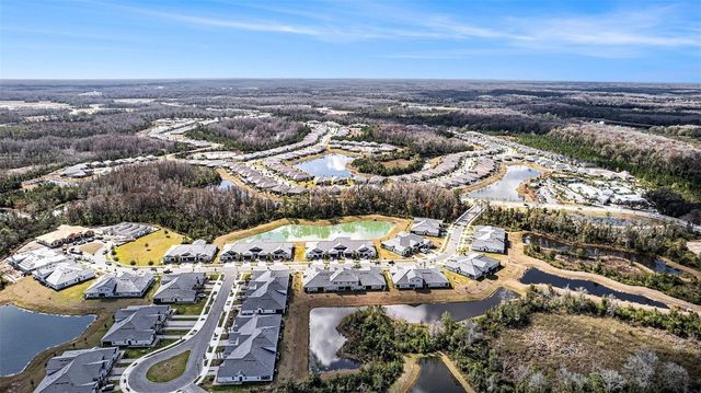 17244 TORTOISE CROWN BOULEVARD, Land O Lakes, FL 34638