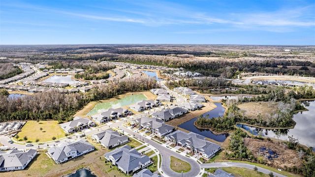 17244 TORTOISE CROWN BOULEVARD, Land O Lakes, FL 34638