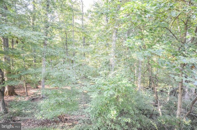 10036 MAPLE LEAF, Gaithersburg, MD 20886