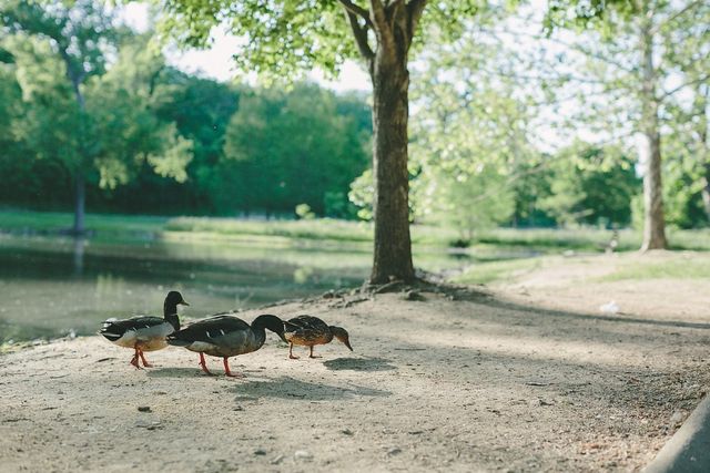 805 S 19th St, Nashville, TN 37206