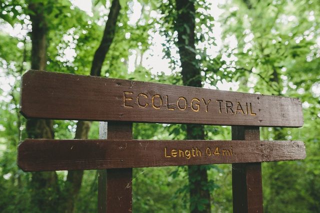 805 S 19th St, Nashville, TN 37206