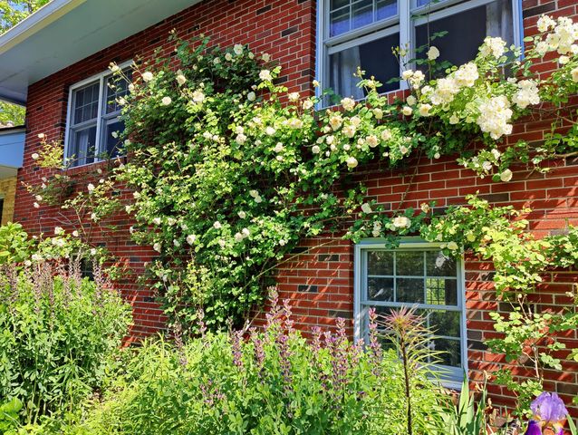 34 Davenport Drive, Stamford, CT 06902