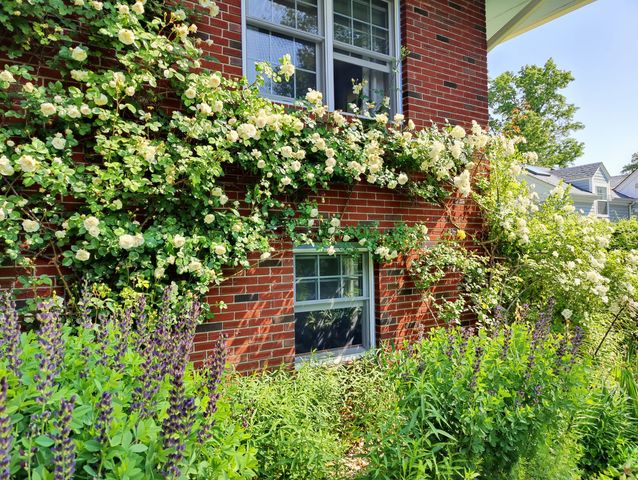 34 Davenport Drive, Stamford, CT 06902