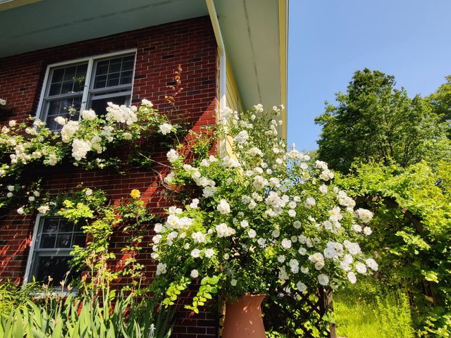 34 Davenport Drive, Stamford, CT 06902