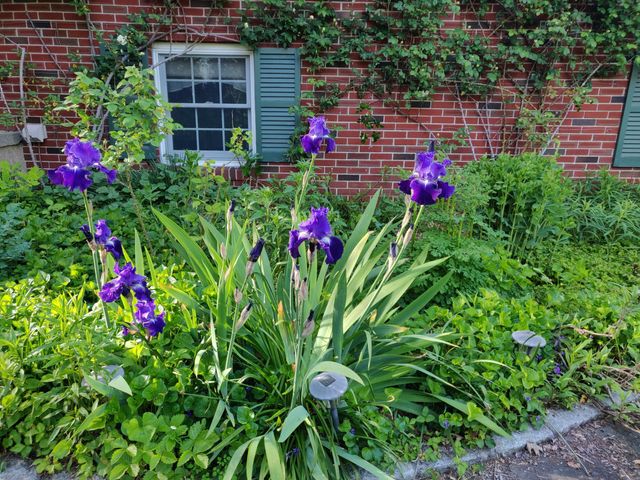 34 Davenport Drive, Stamford, CT 06902