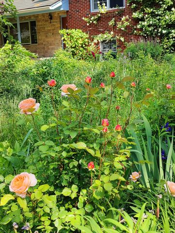 34 Davenport Drive, Stamford, CT 06902