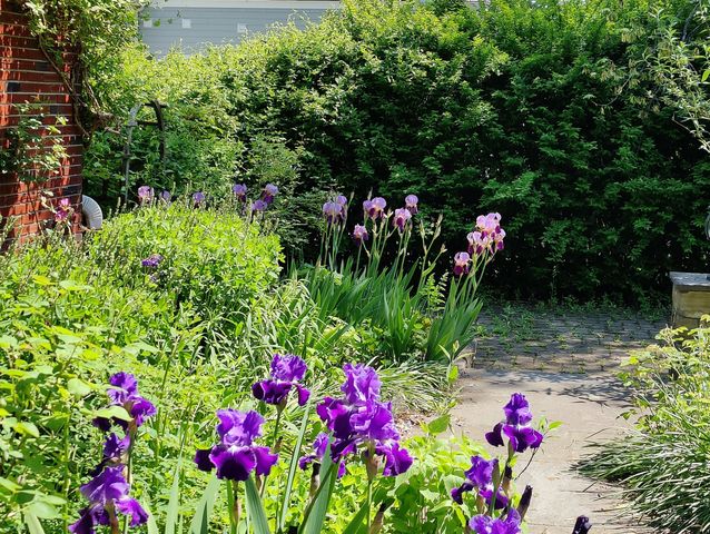 34 Davenport Drive, Stamford, CT 06902