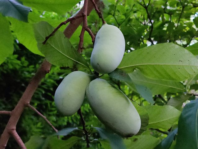 34 Davenport Drive, Stamford, CT 06902