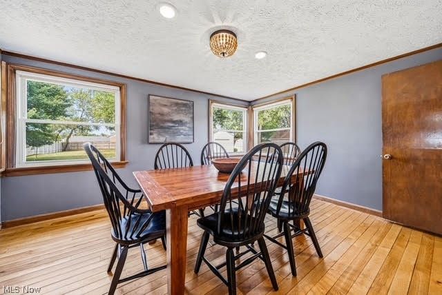 44 N Doan Avenue, Painesville, OH 44077