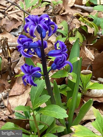 230 JUG HOLLOW RD, Valley Forge, PA 19481