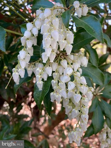 230 JUG HOLLOW RD, Valley Forge, PA 19481