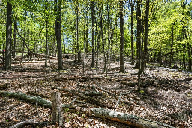 230 JUG HOLLOW RD, Valley Forge, PA 19481